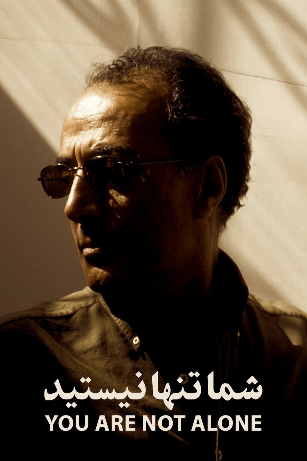 Poster di شما تنها نیستید