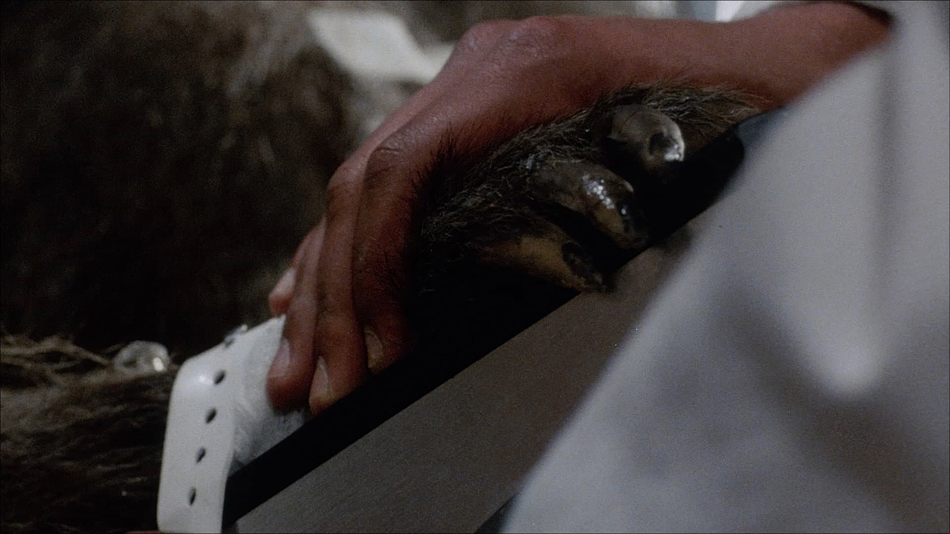 Baboon Bite Maniacs! - "Primal Rage" 35 Years Later - immagine