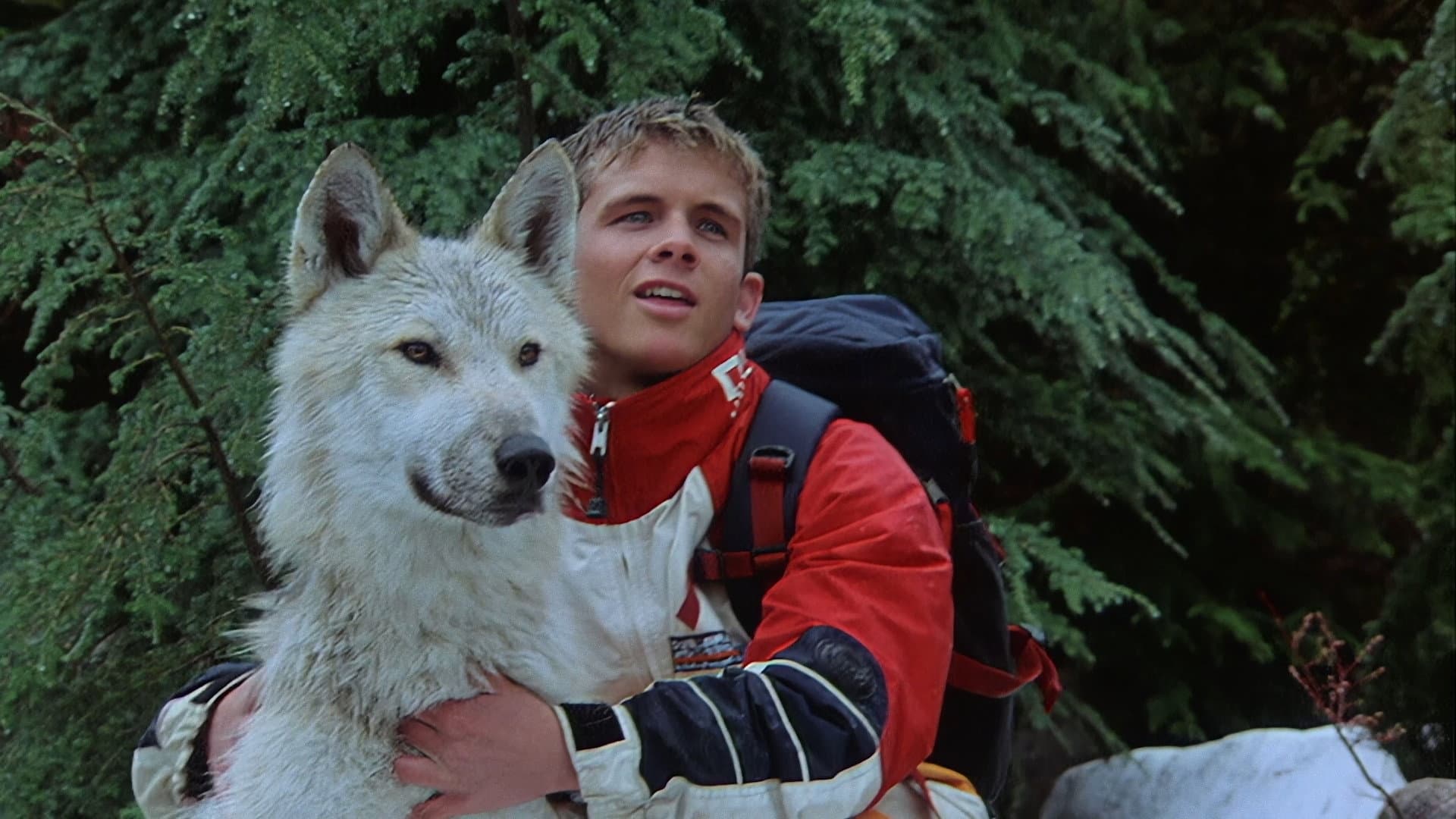 Silver Wolf - immagine