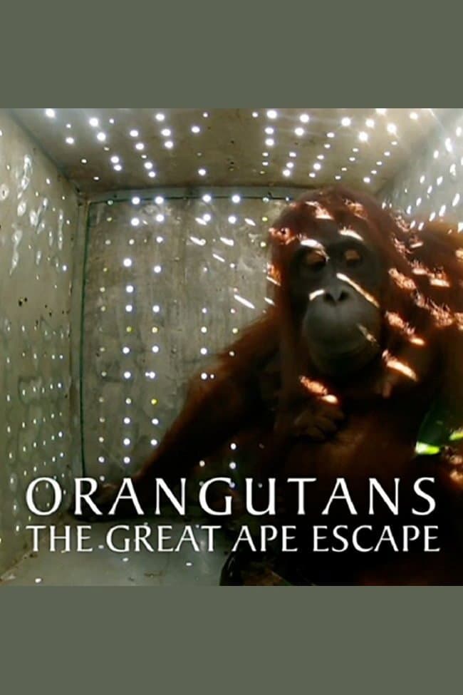 Poster di Orangutans: The Great Ape Escape