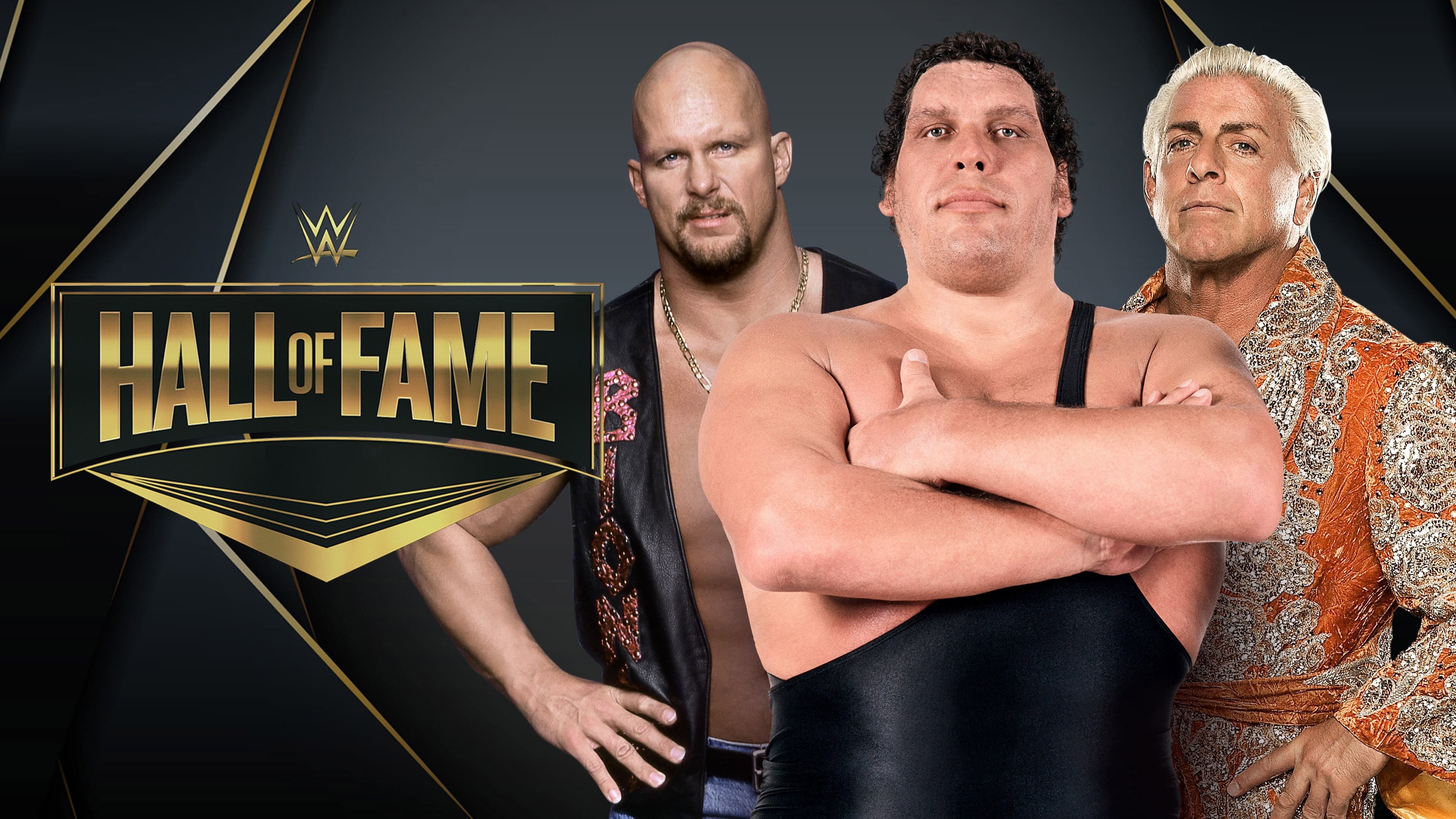 WWE Hall Of Fame 2012 - immagine