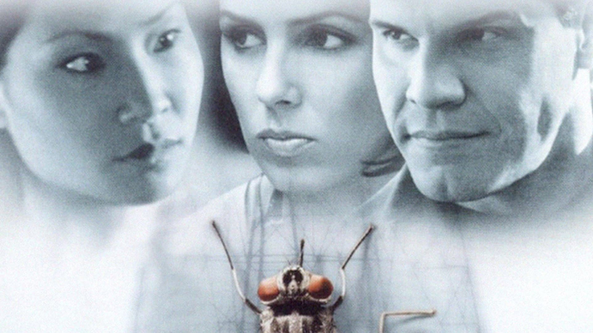 Flypaper - immagine
