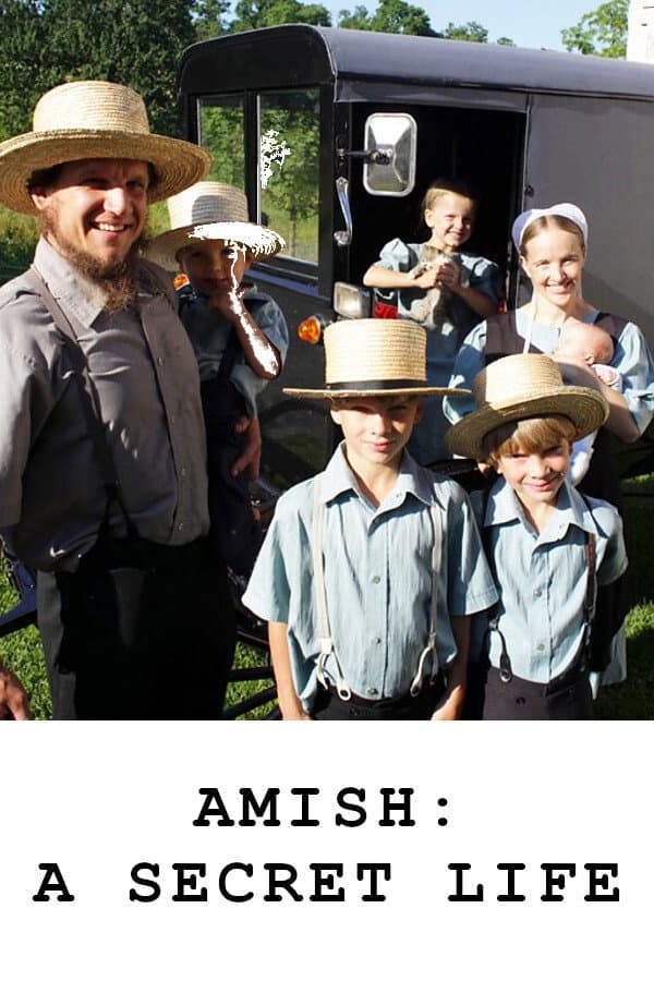 Poster di Amish: A Secret Life