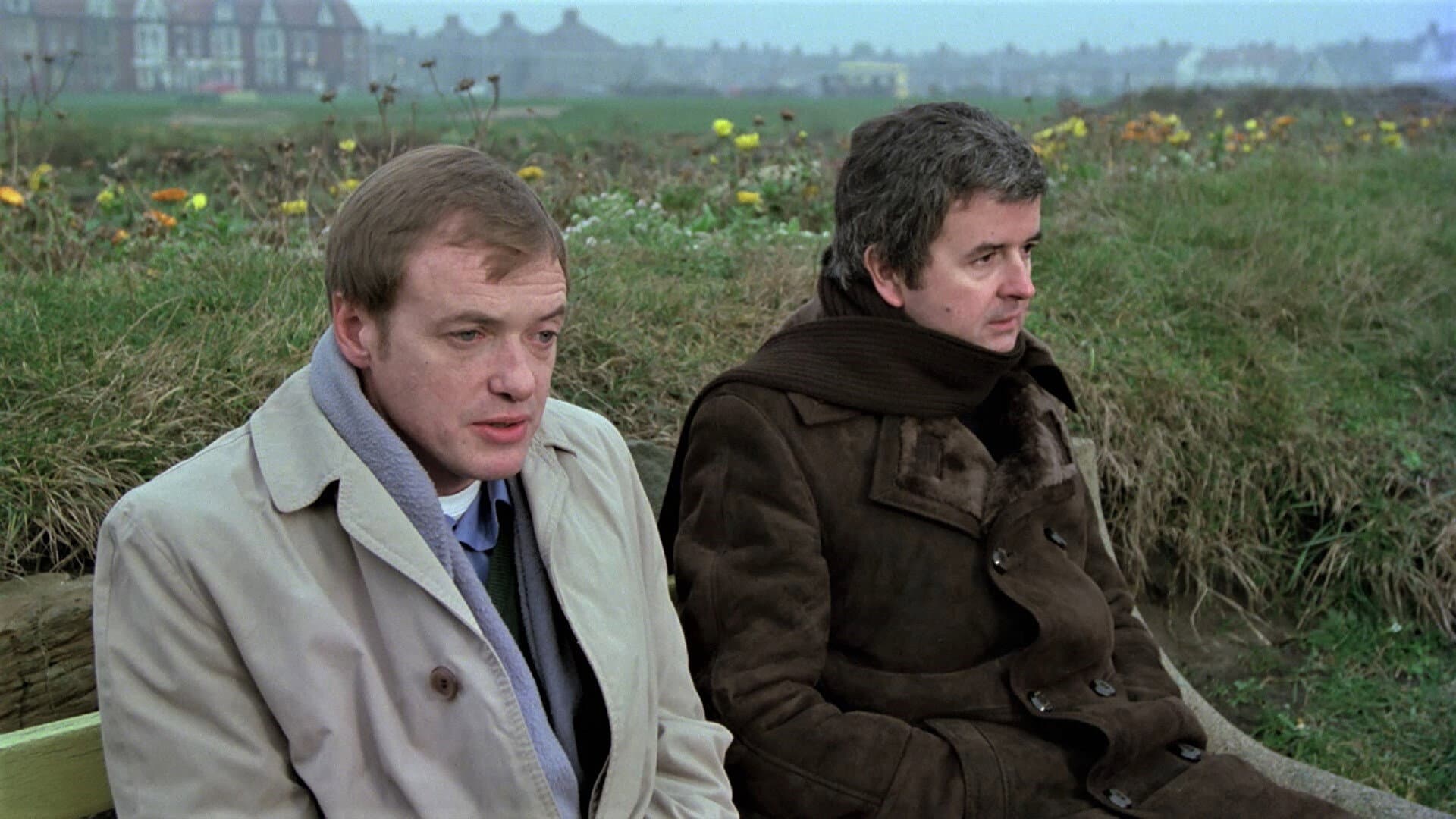 The Likely Lads - immagine