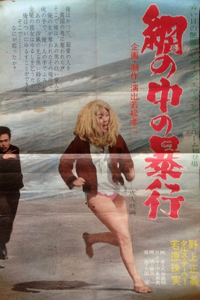 Poster di Violence in the Net