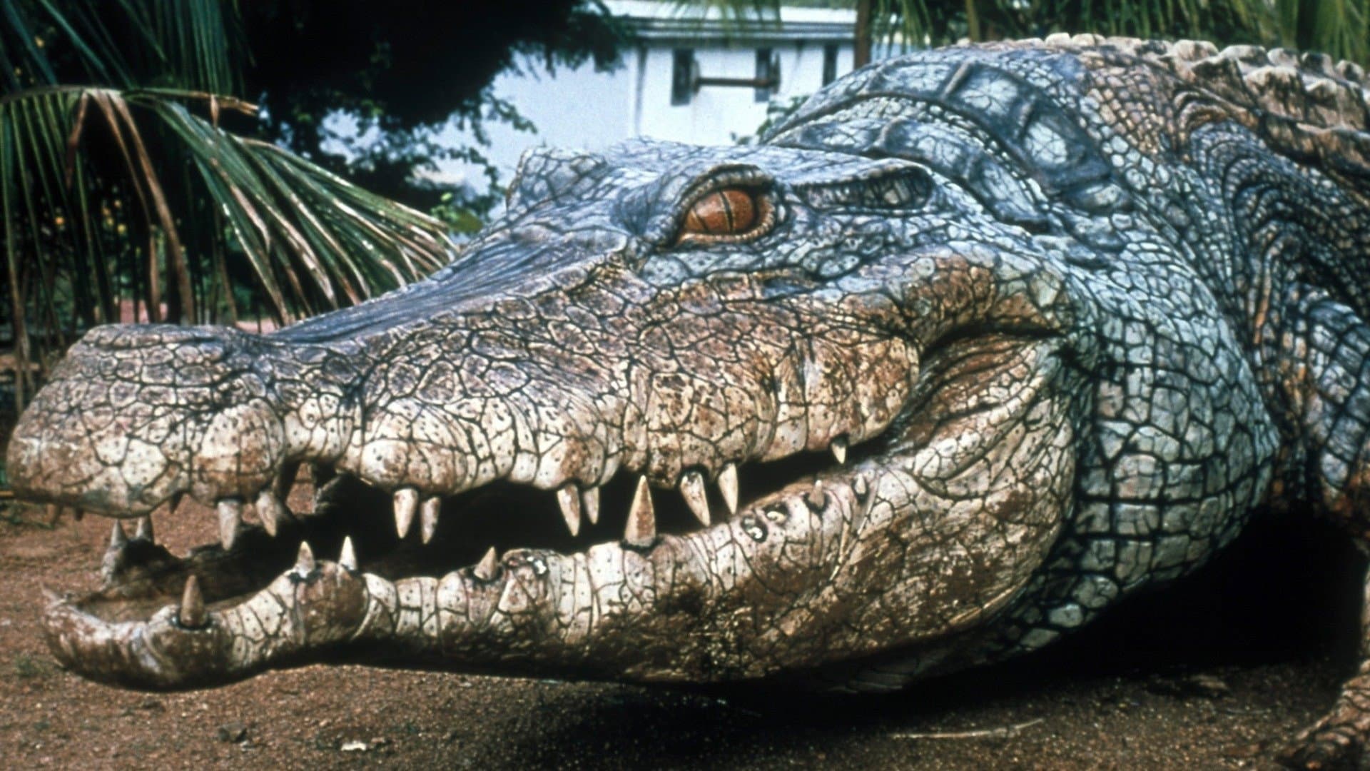 Crocodile 2 - immagine