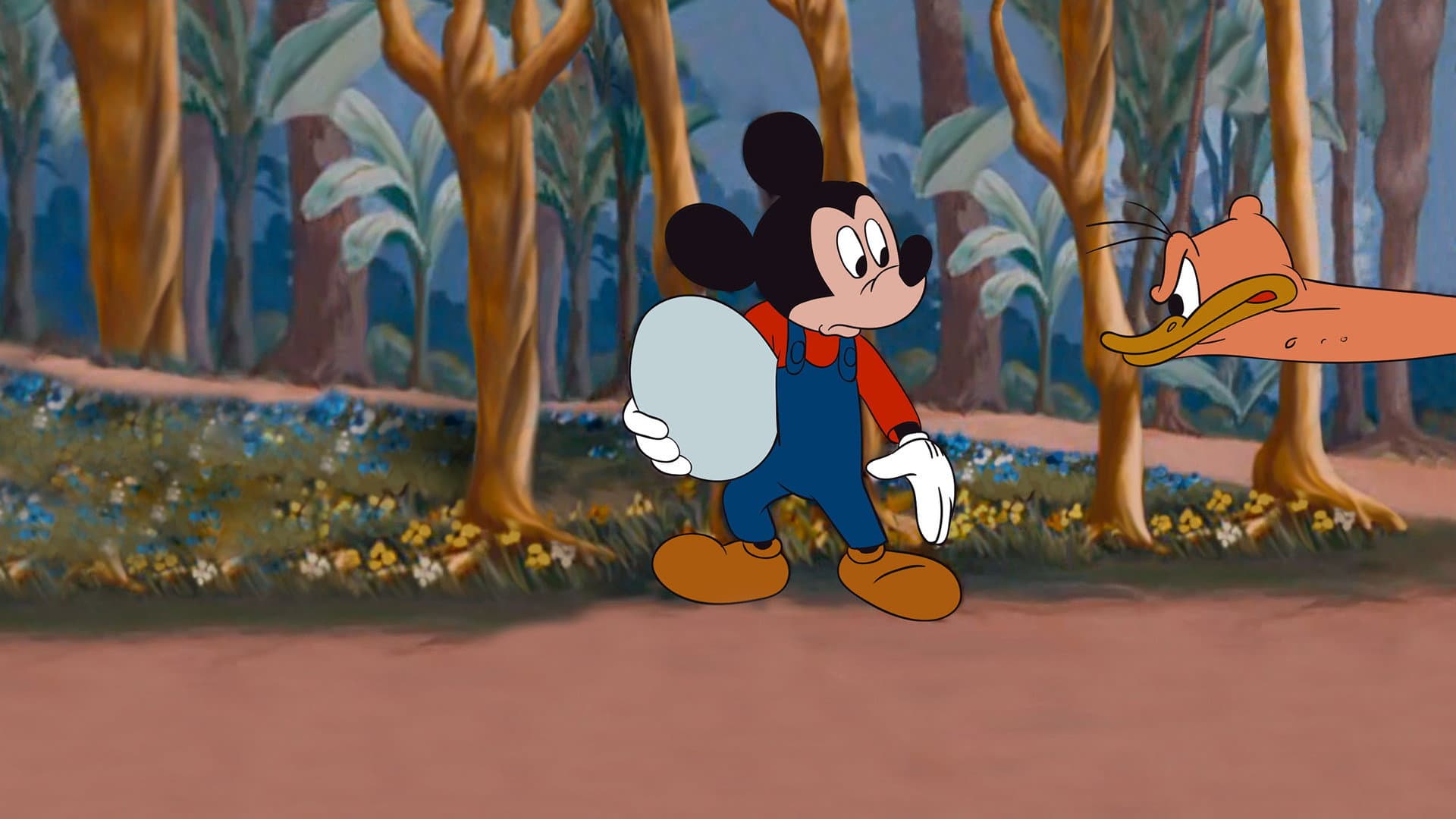 Topolino in Australia - immagine