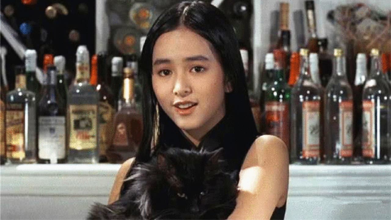 The Cat - immagine