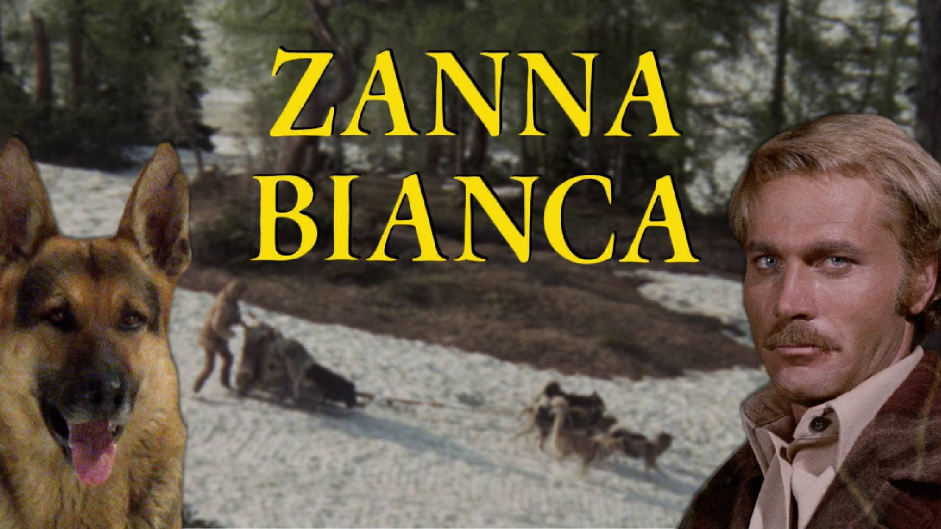 Zanna Bianca - immagine