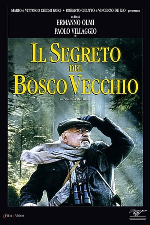 Poster di Il segreto del bosco vecchio
