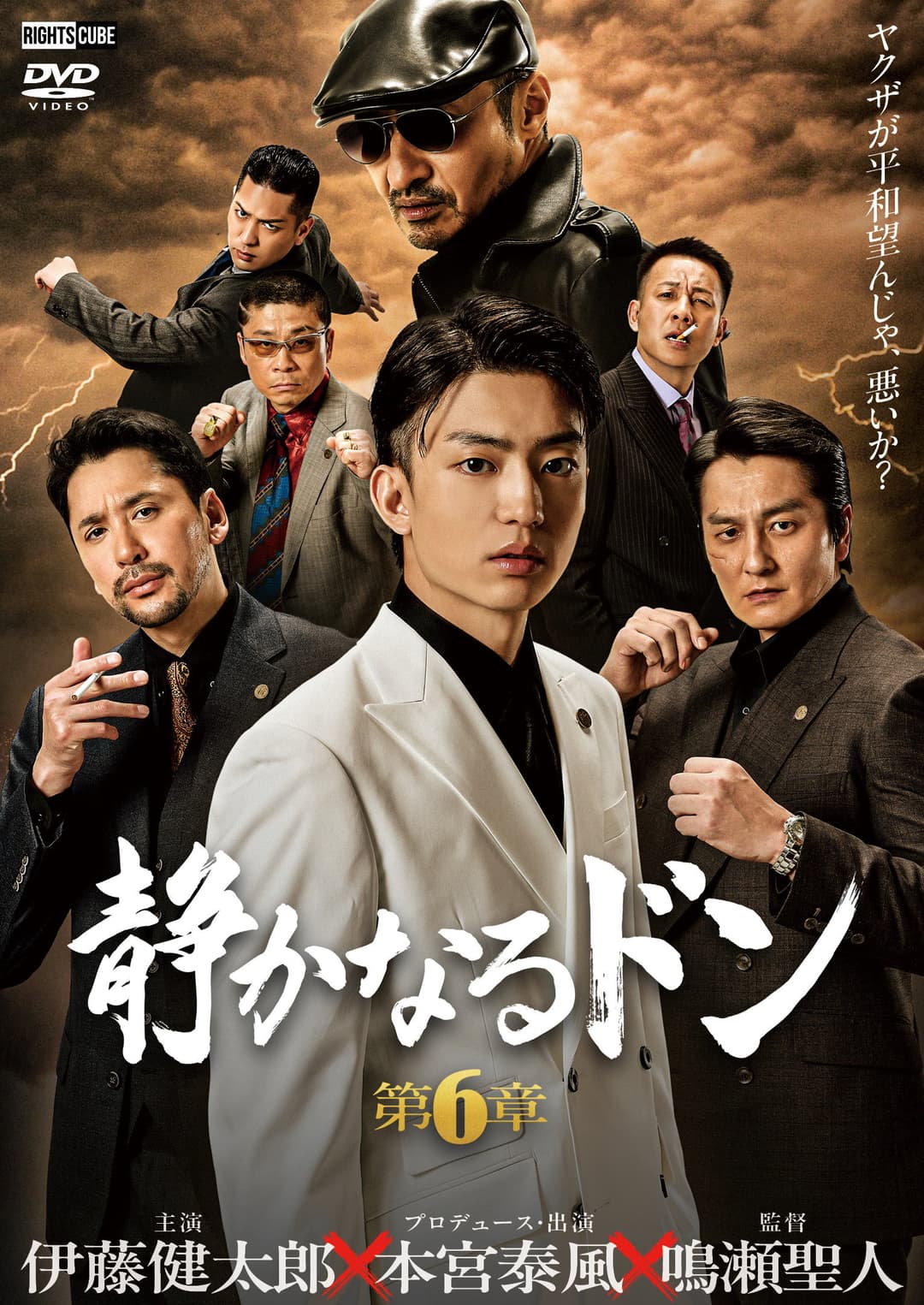 Poster di 静かなるドン 第６章