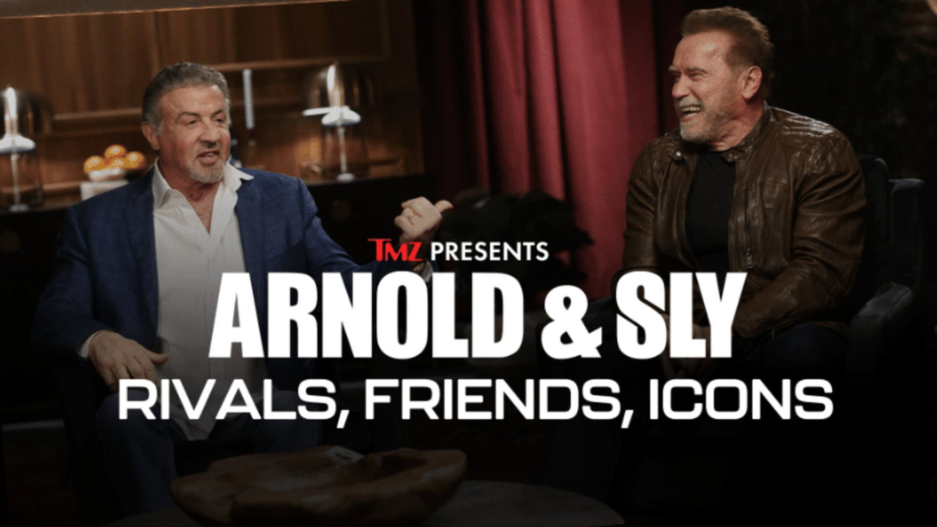 Arnold & Sly: Rivals, Friends, Icons - immagine
