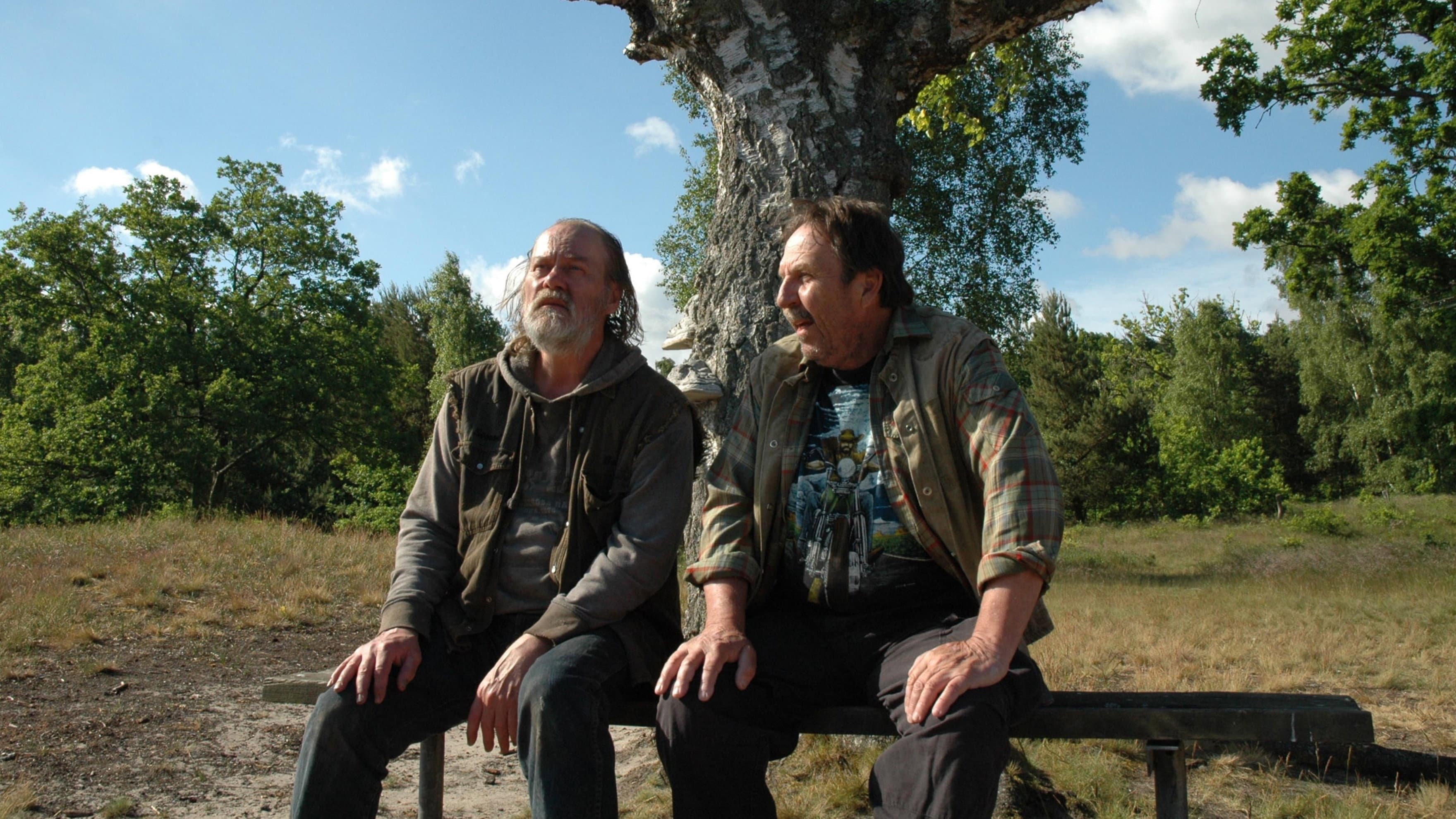 Små mirakel och stora - immagine
