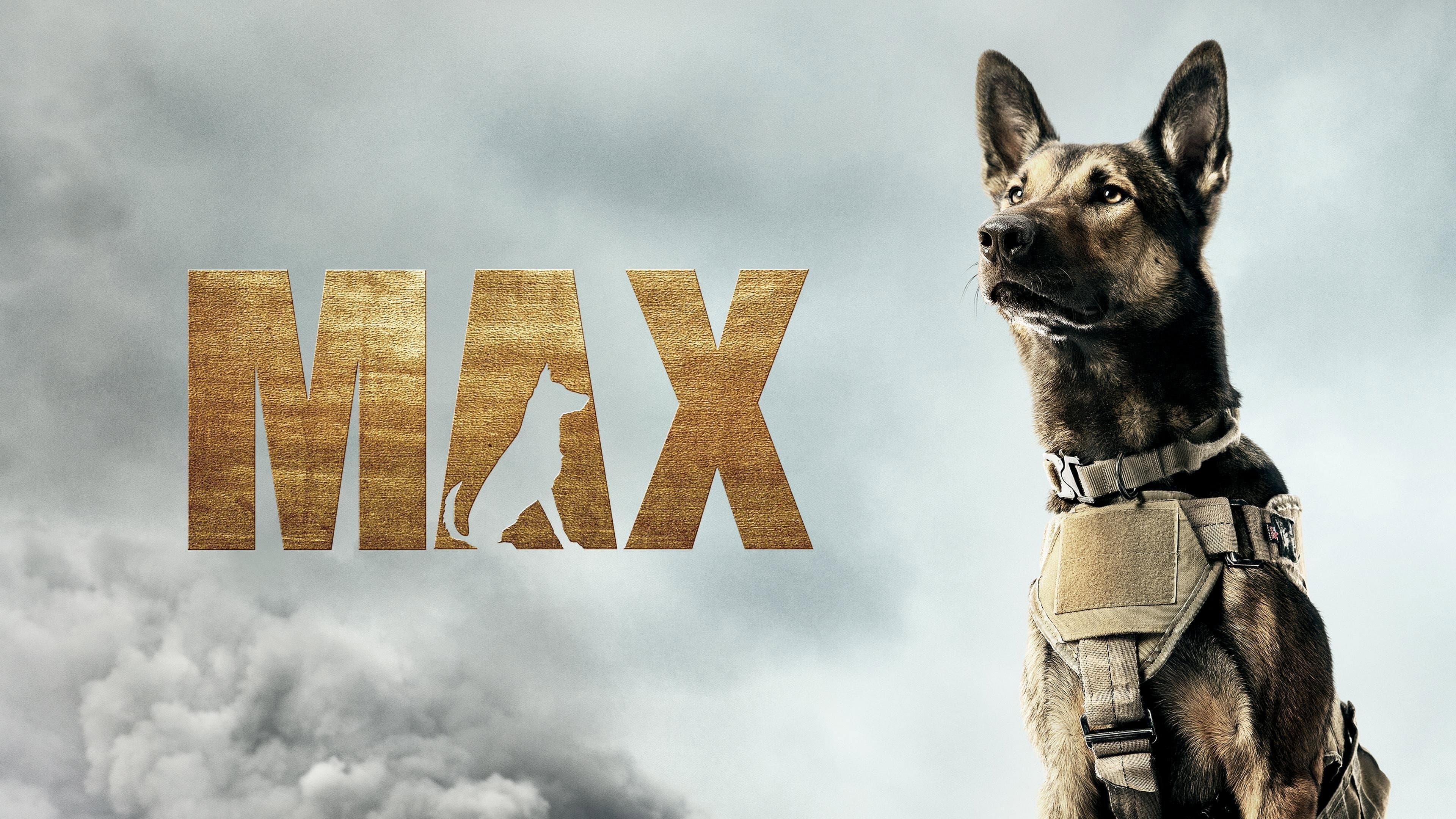 Max - immagine
