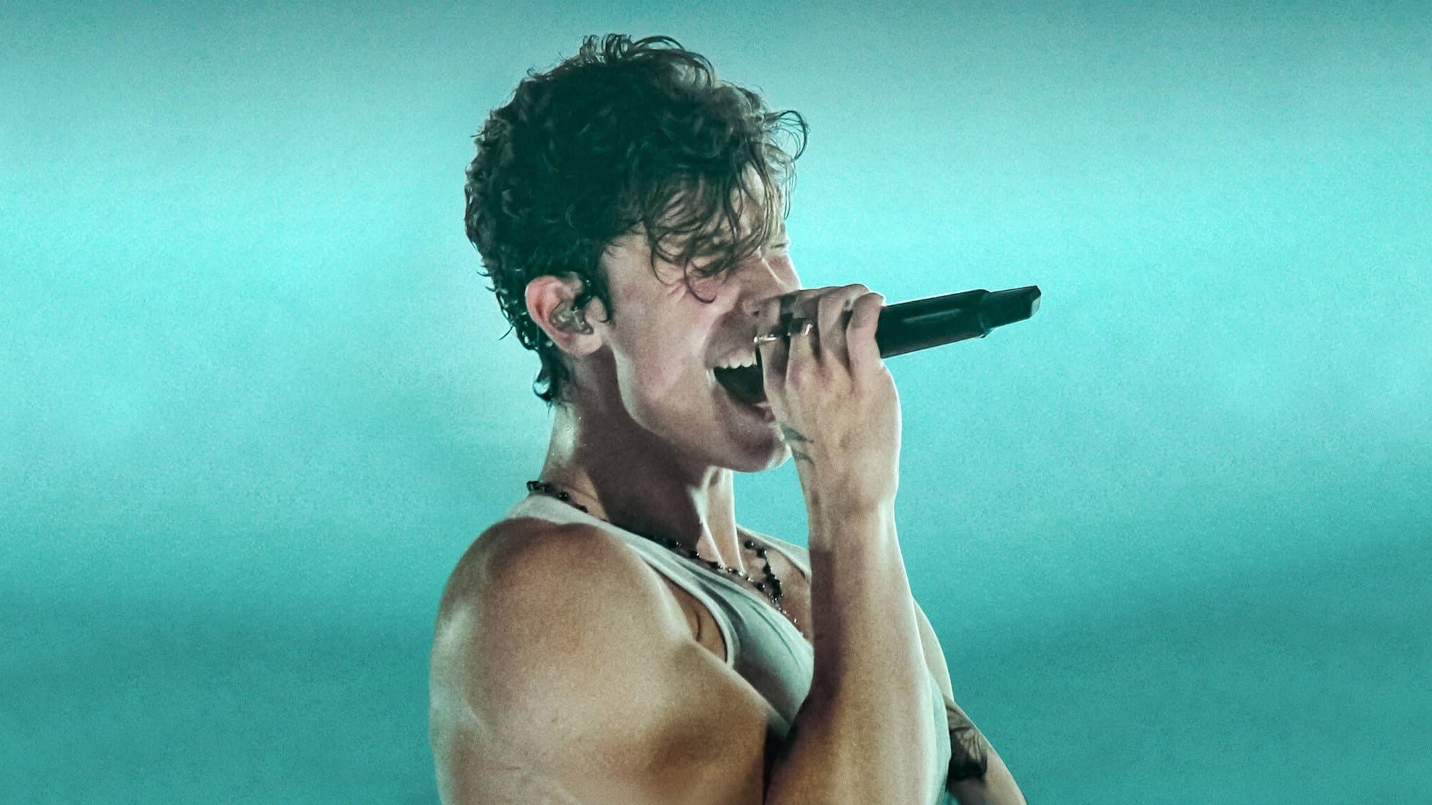 Shawn Mendes: Live in Concert - immagine