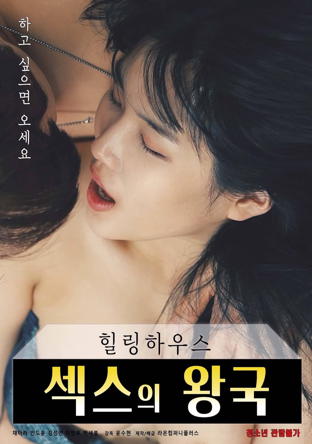 Poster di 힐링하우스 : 섹스의 왕국