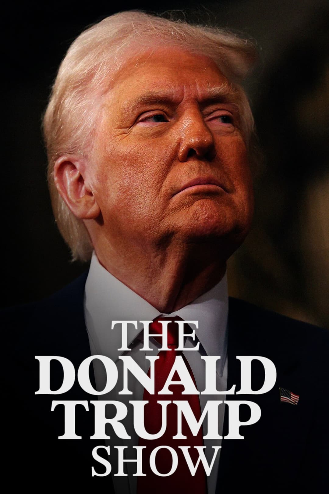 Poster di The Donald Trump Show