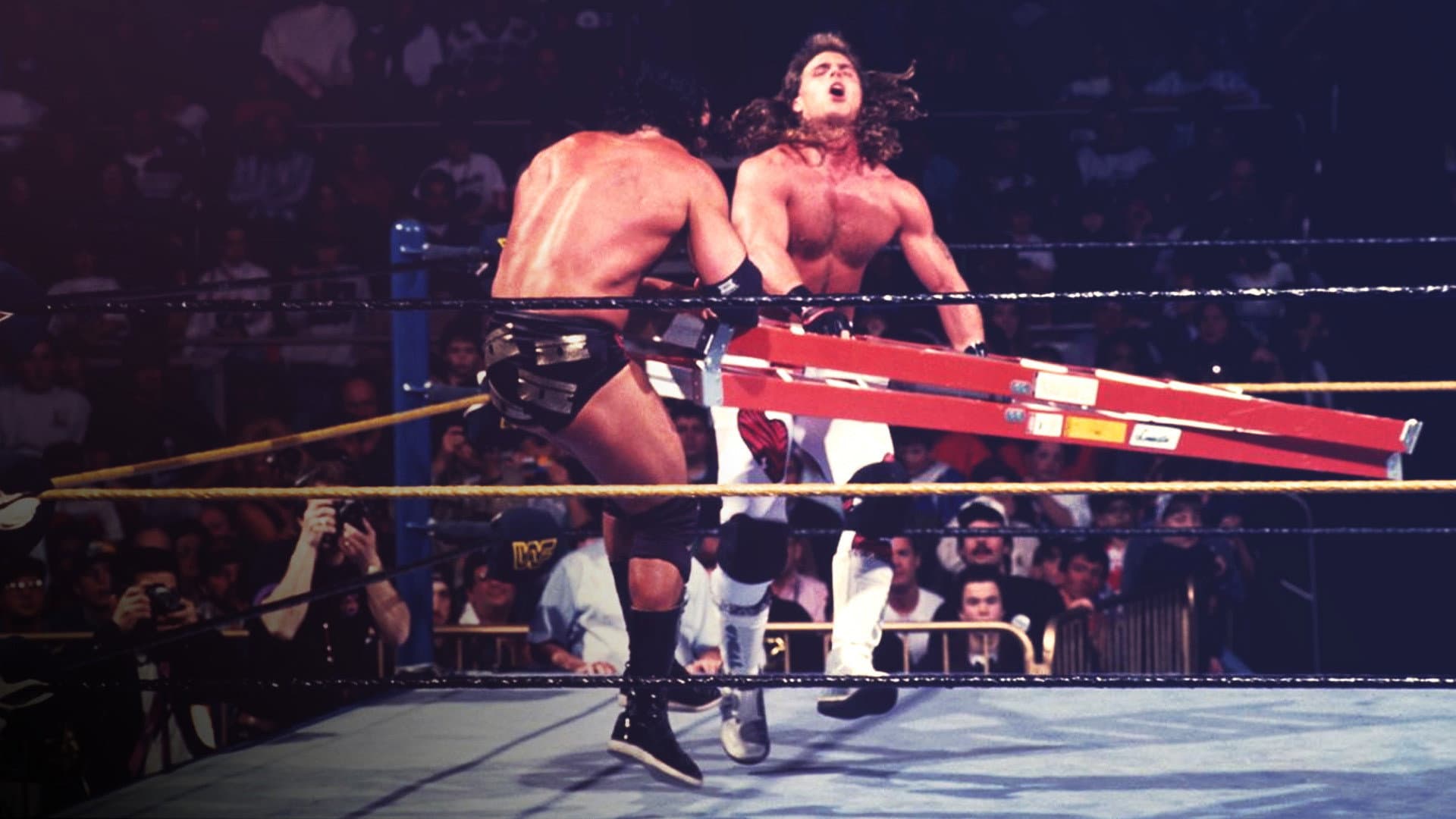 WWE WrestleMania X - immagine