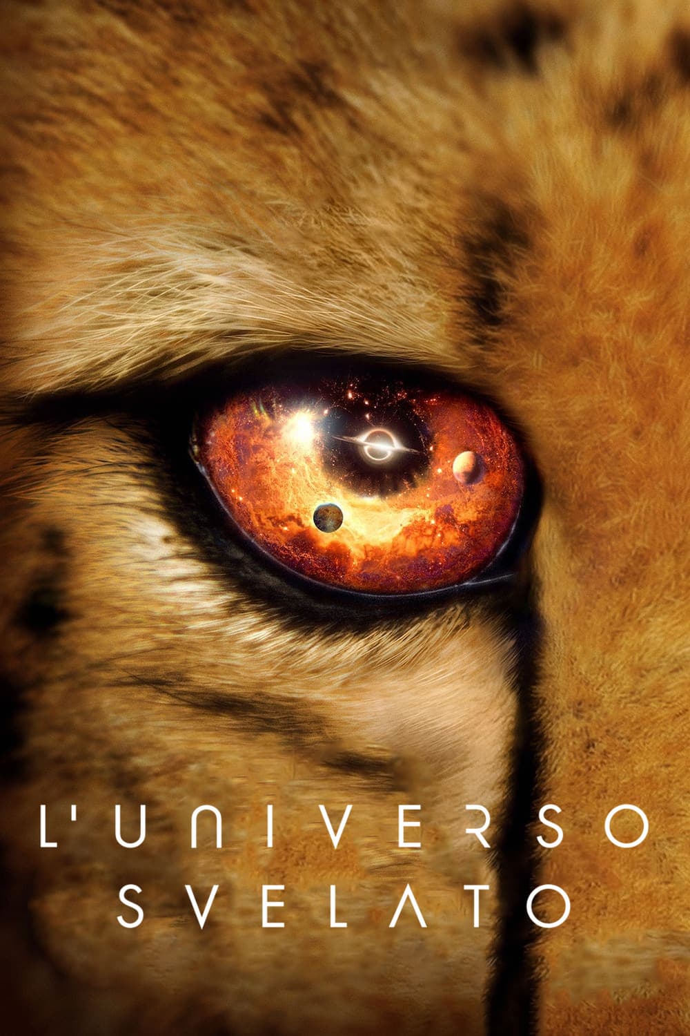 Poster di L'universo svelato
