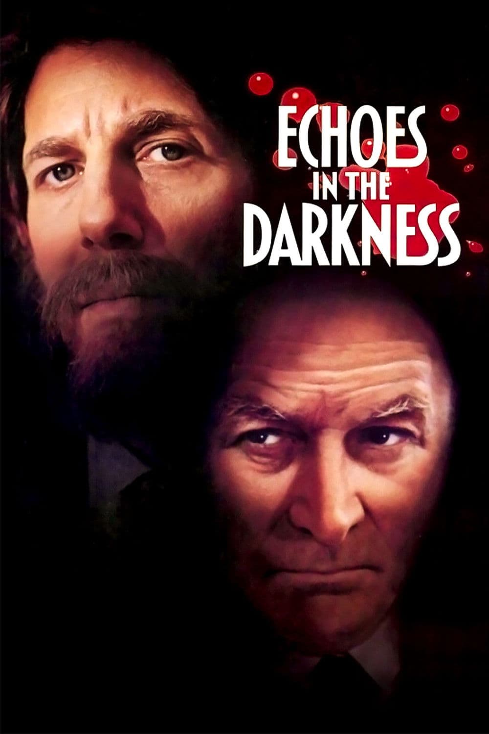 Poster di Echoes in the Darkness