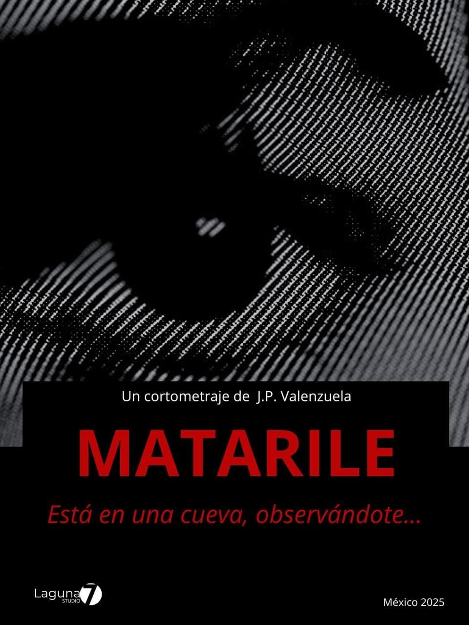 Poster di Matarile