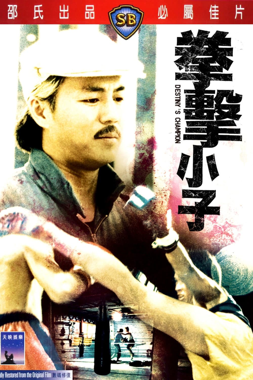 Poster di 拳击小子
