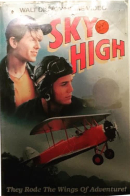 Poster di Sky High