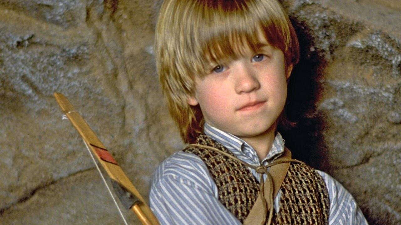 Il piccolo capo indiano - immagine