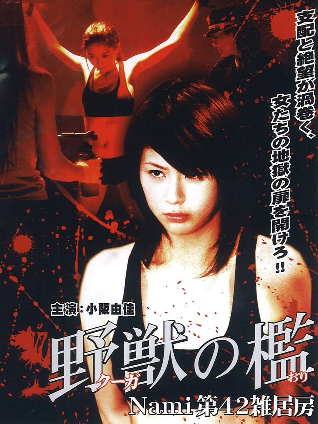 Poster di 野獣の檻 Nami 第42雑居房