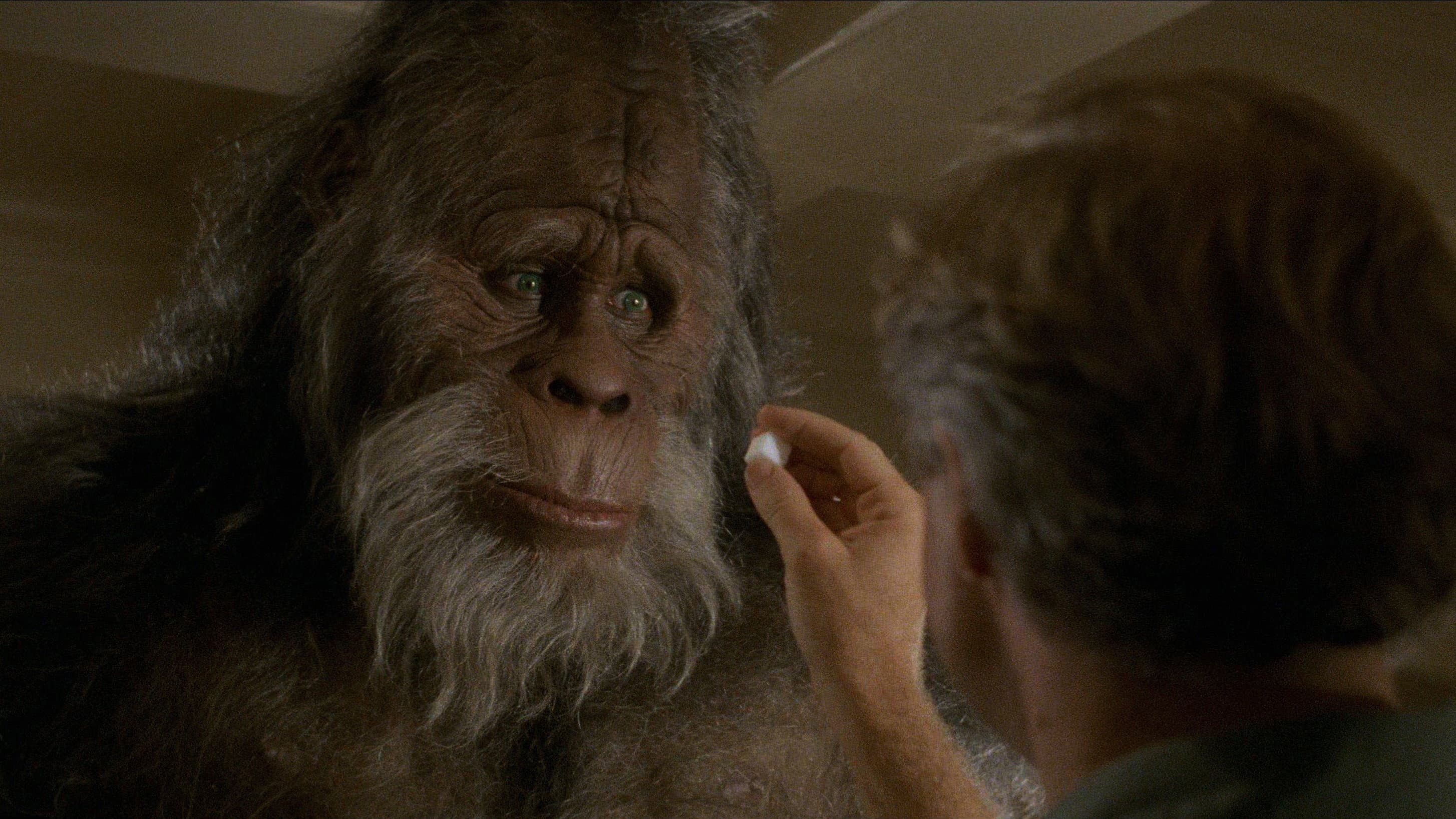 Bigfoot e i suoi amici - immagine
