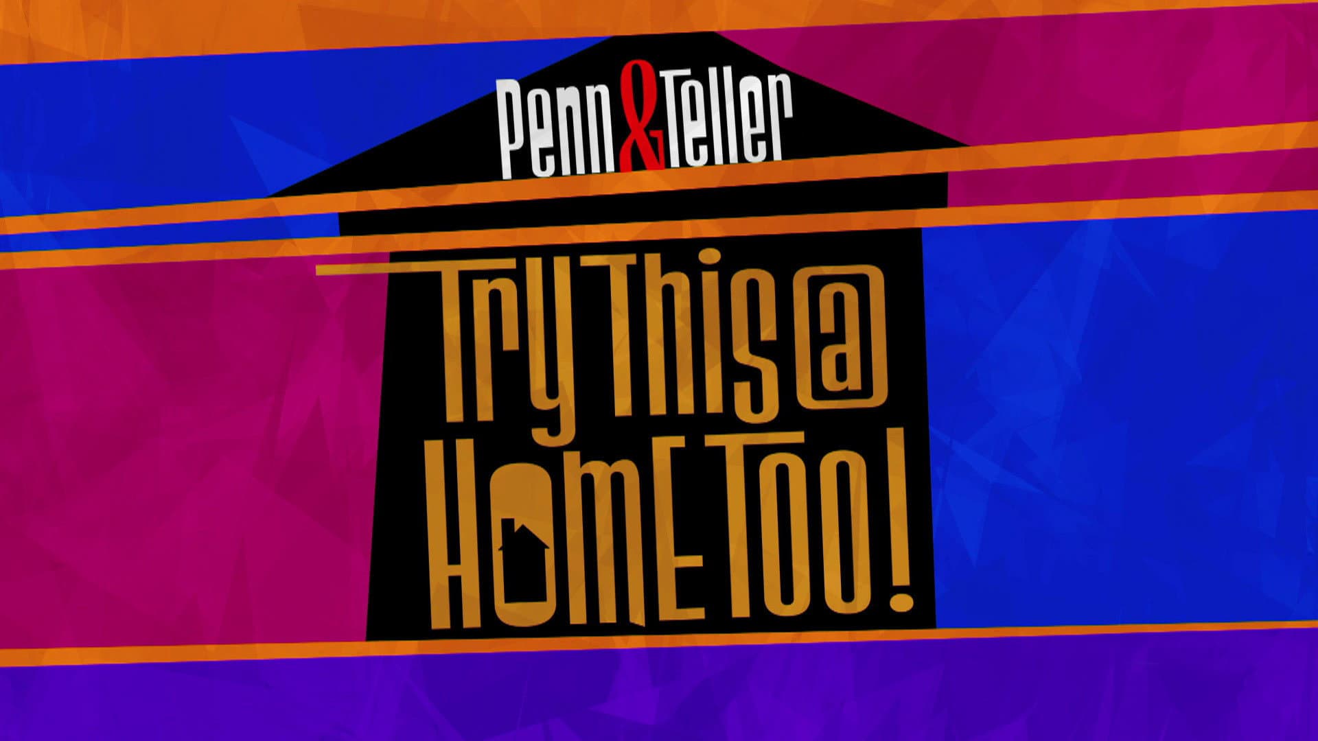 Penn & Teller: Try This at Home Too - immagine