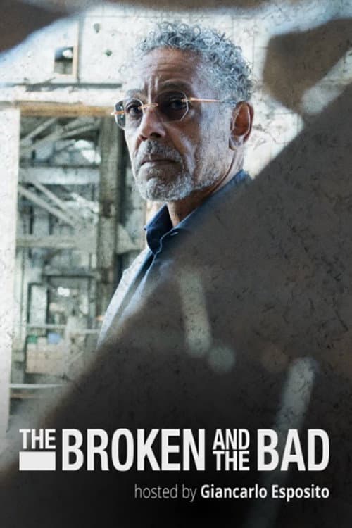 Poster di The Broken and the Bad