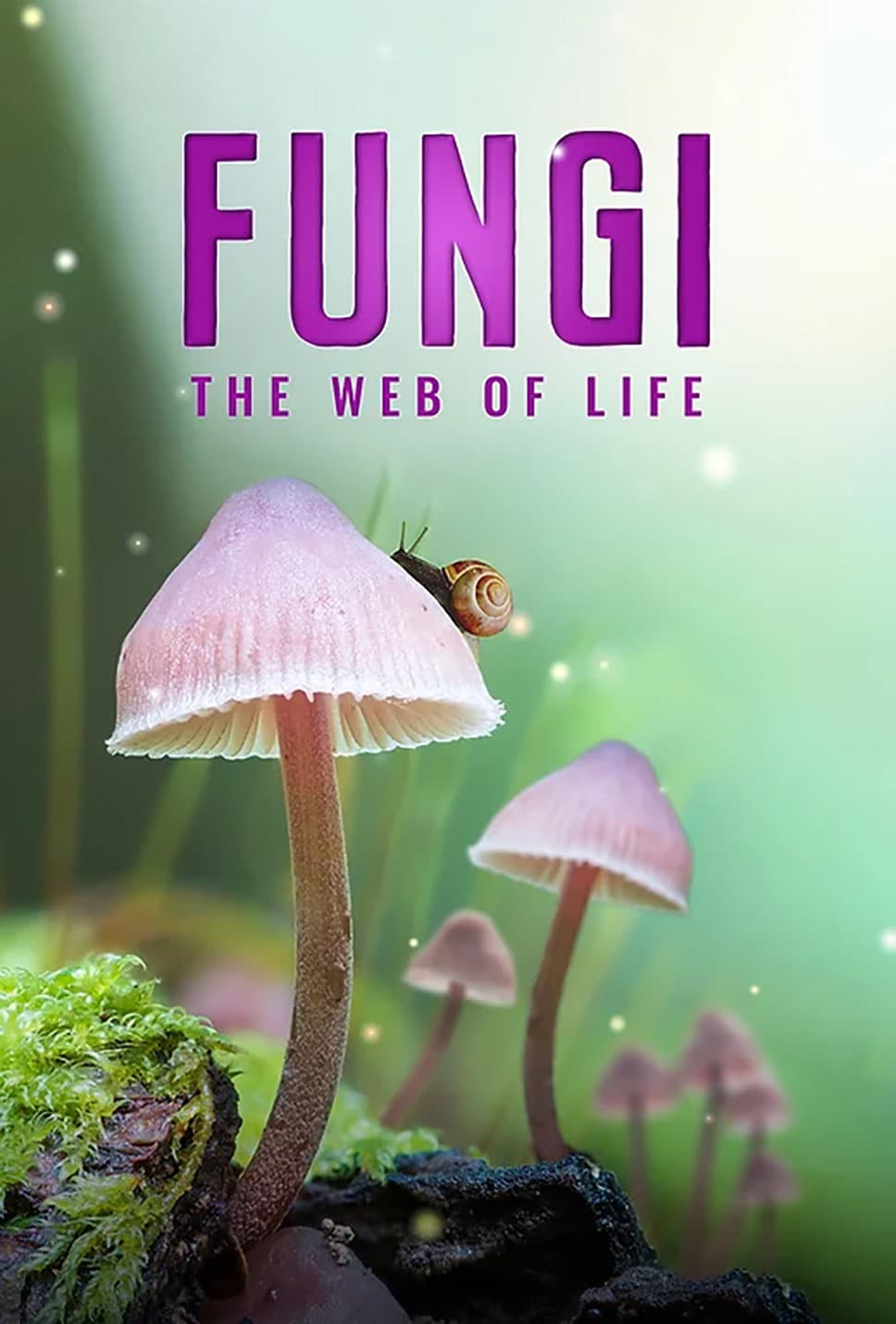 Poster di Fungi: The Web of Life