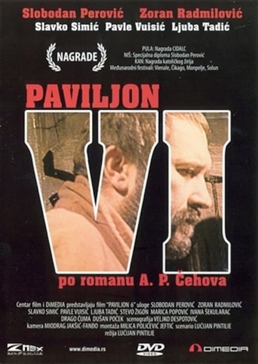 Poster di Paviljon VI