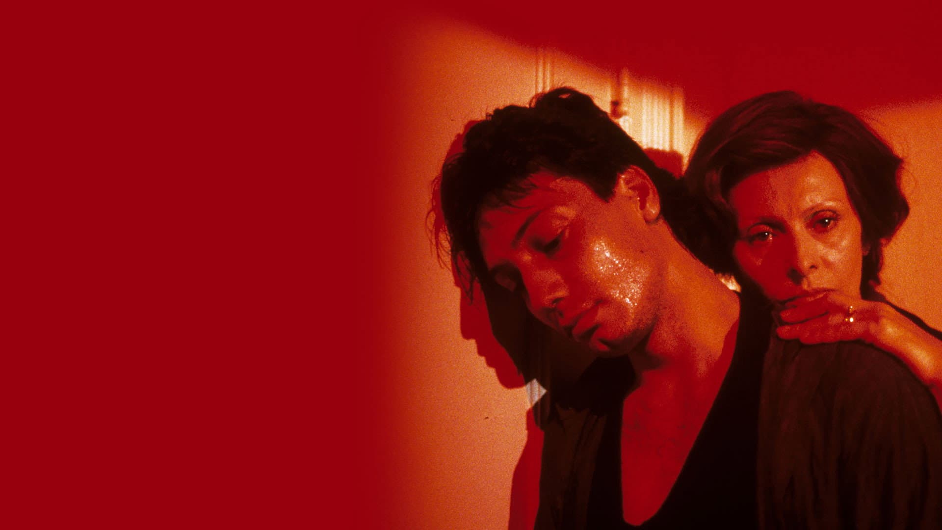 Madre coraggio - immagine