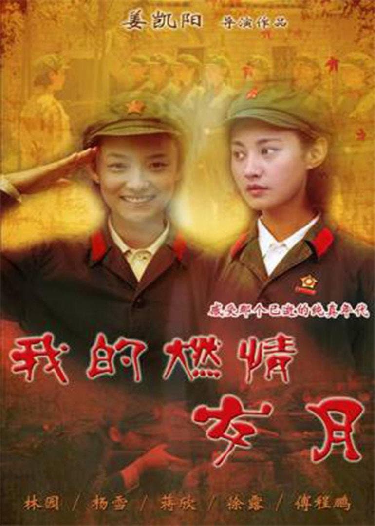 Poster di 我的燃情岁月