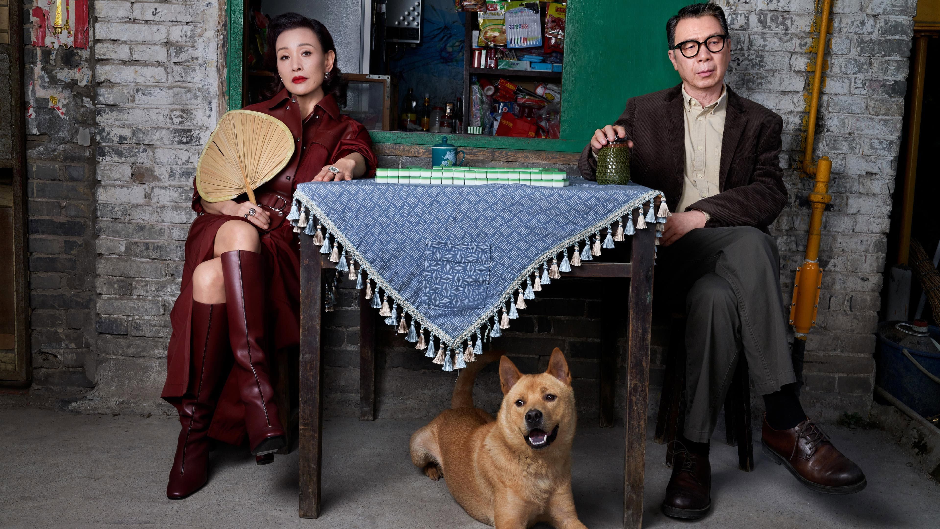 Hachiko - immagine