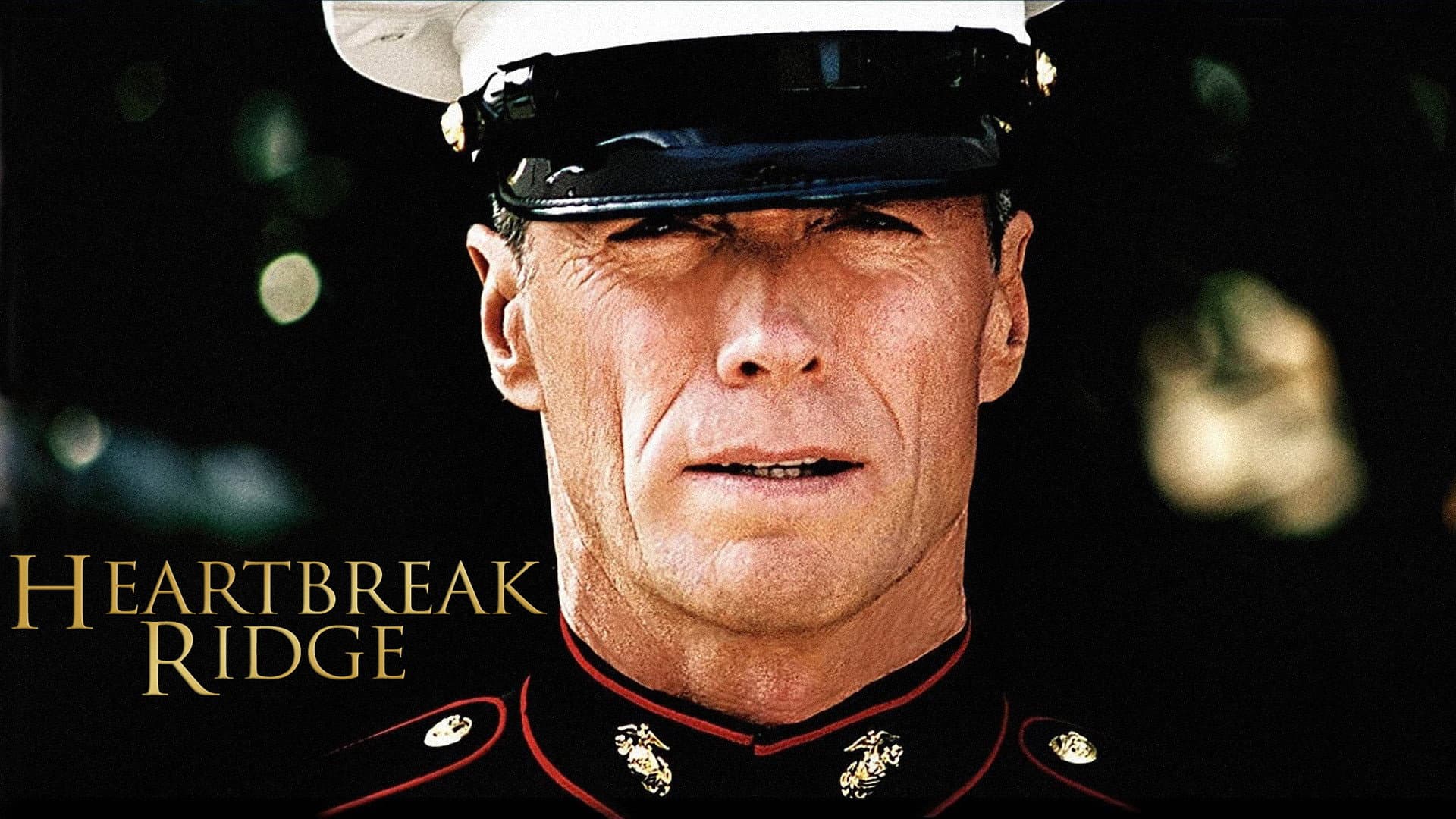 Gunny - immagine