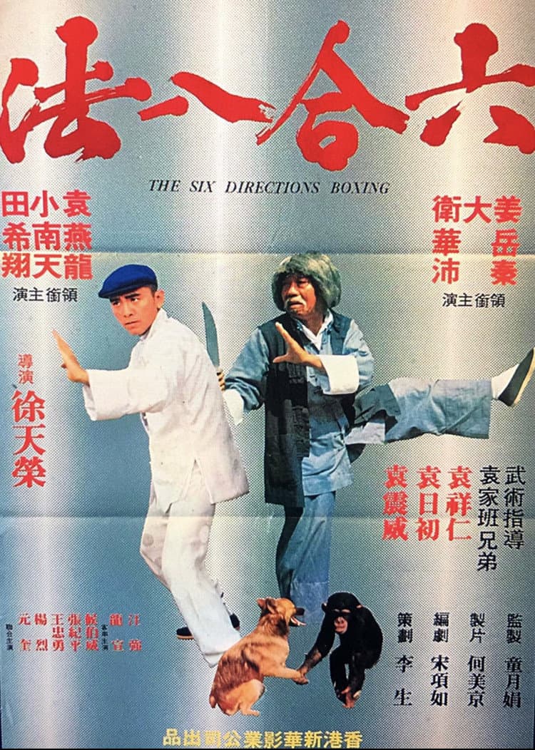 Poster di 六合八法