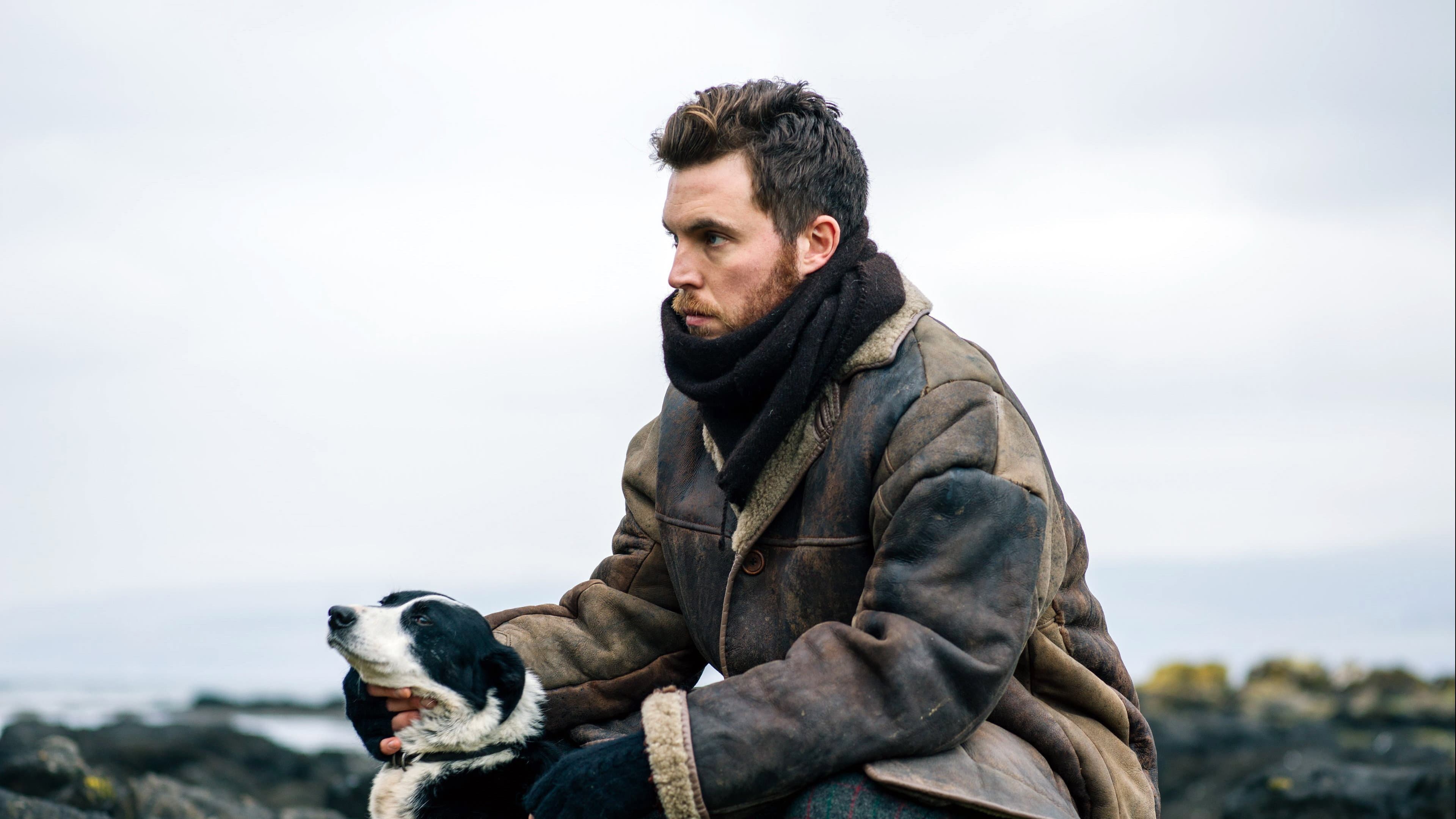 Shepherd - immagine