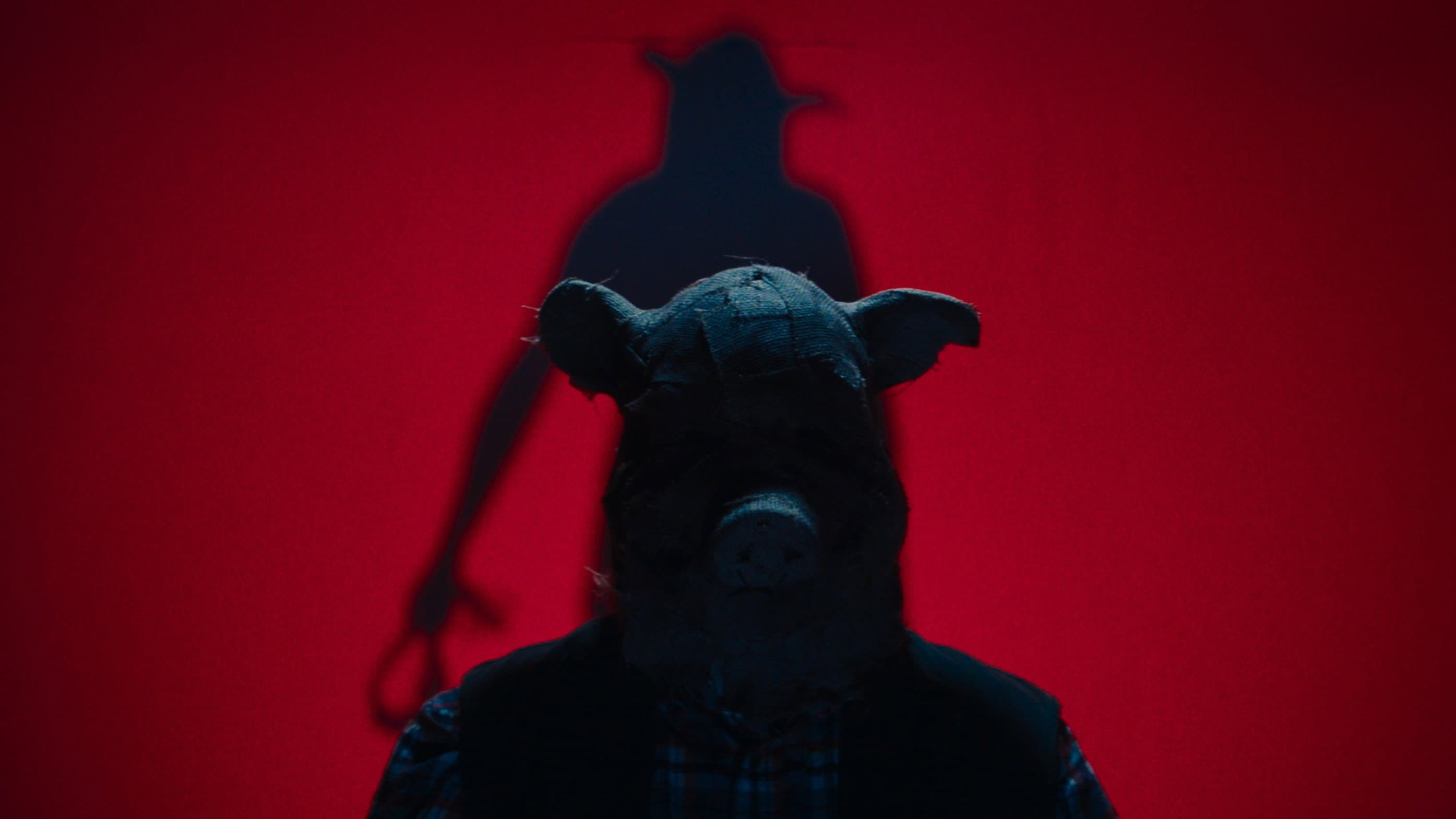 Pig Hill - immagine