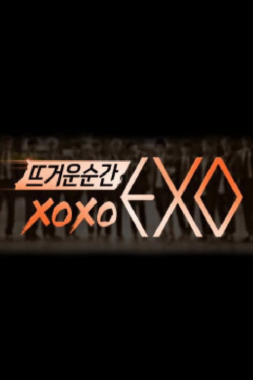 Poster di 뜨거운 순간 엑소