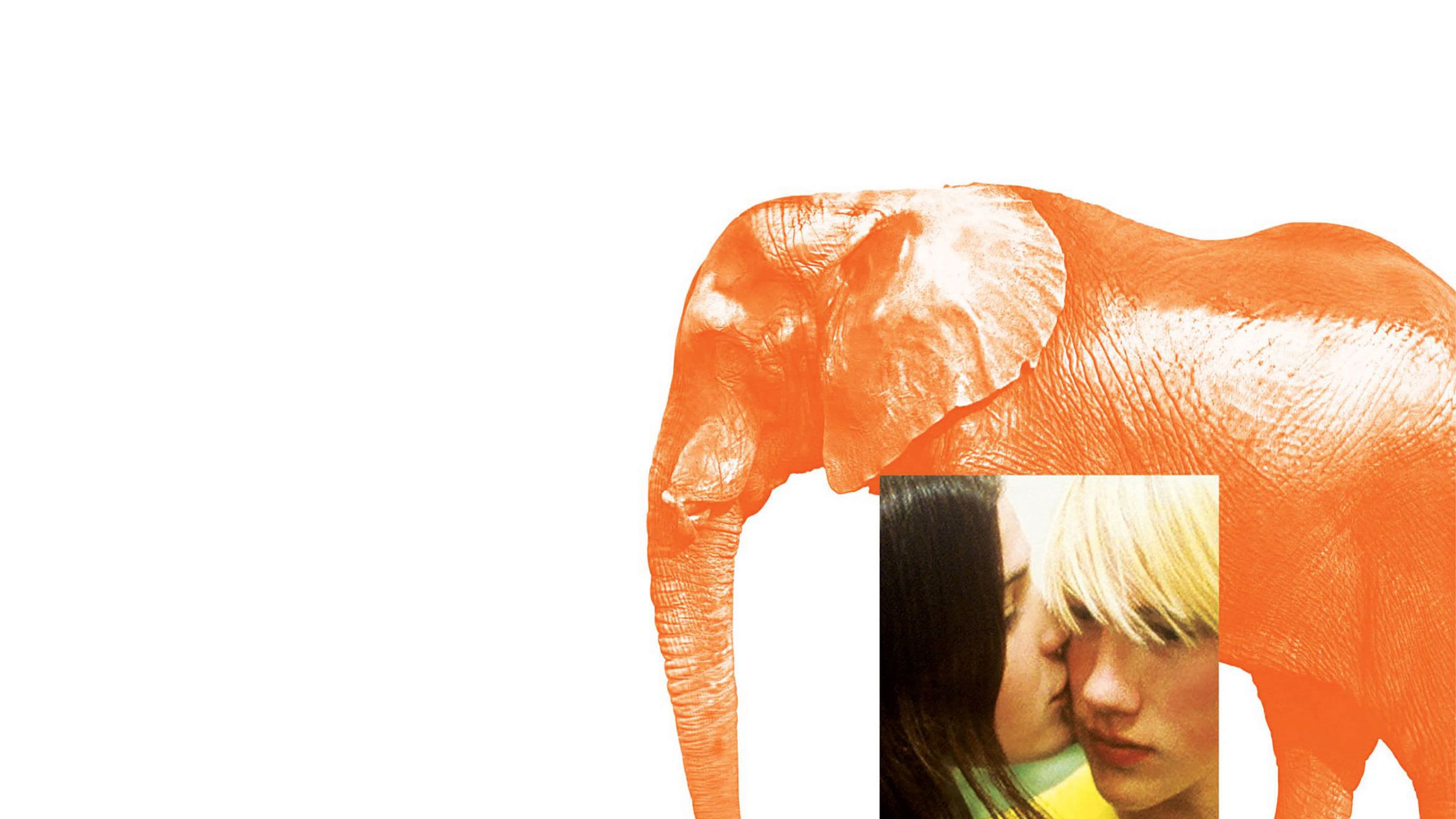 Elephant - immagine
