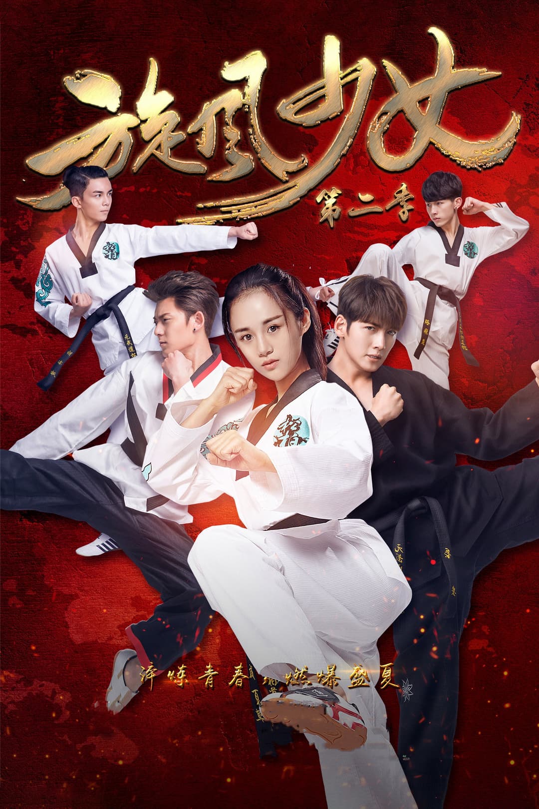 Poster di 旋风少女2