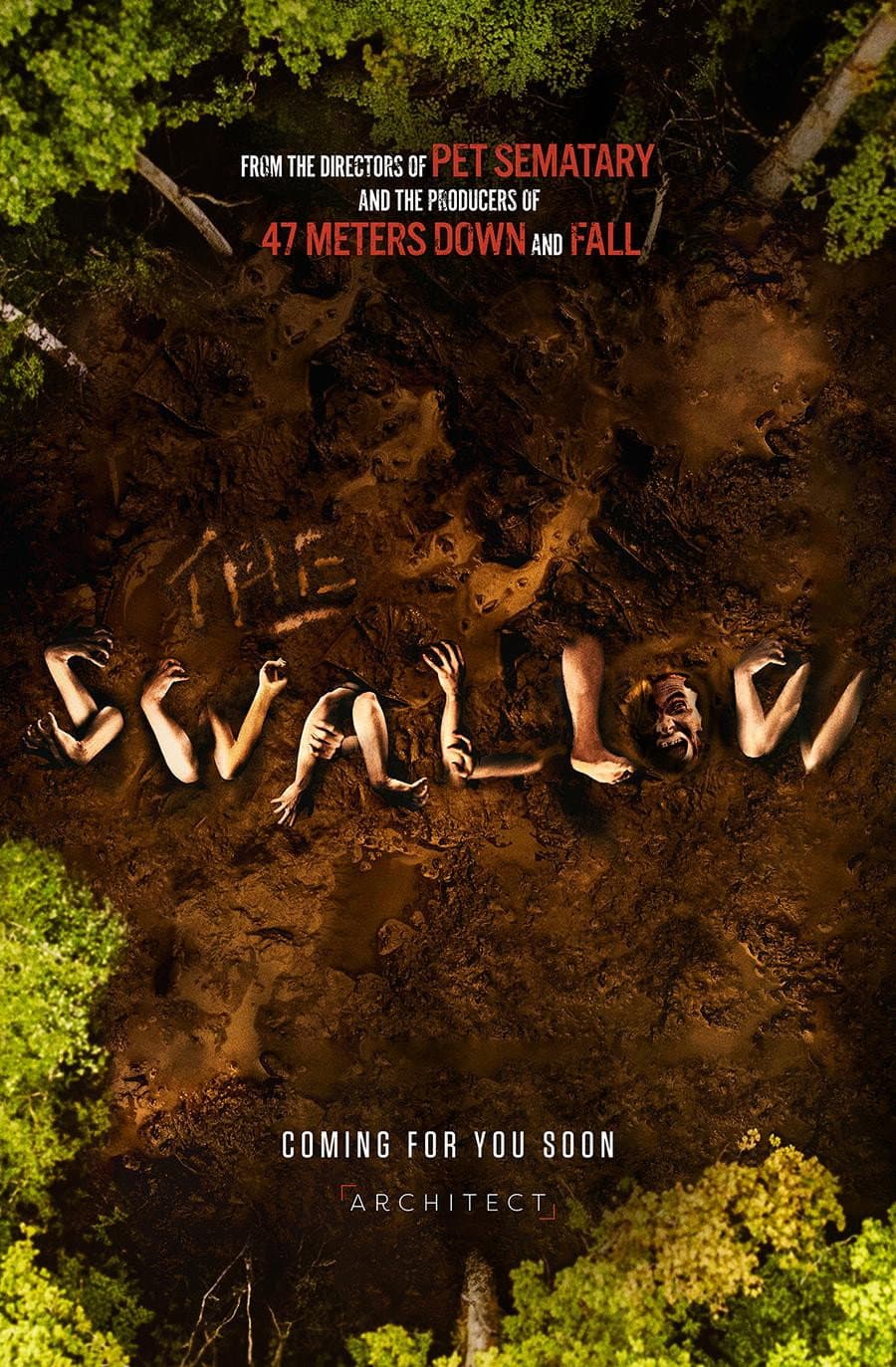 Poster di The Swallow