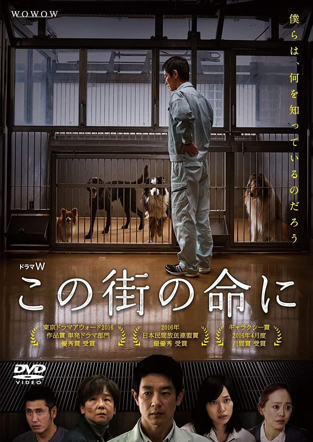 Poster di この街の命に