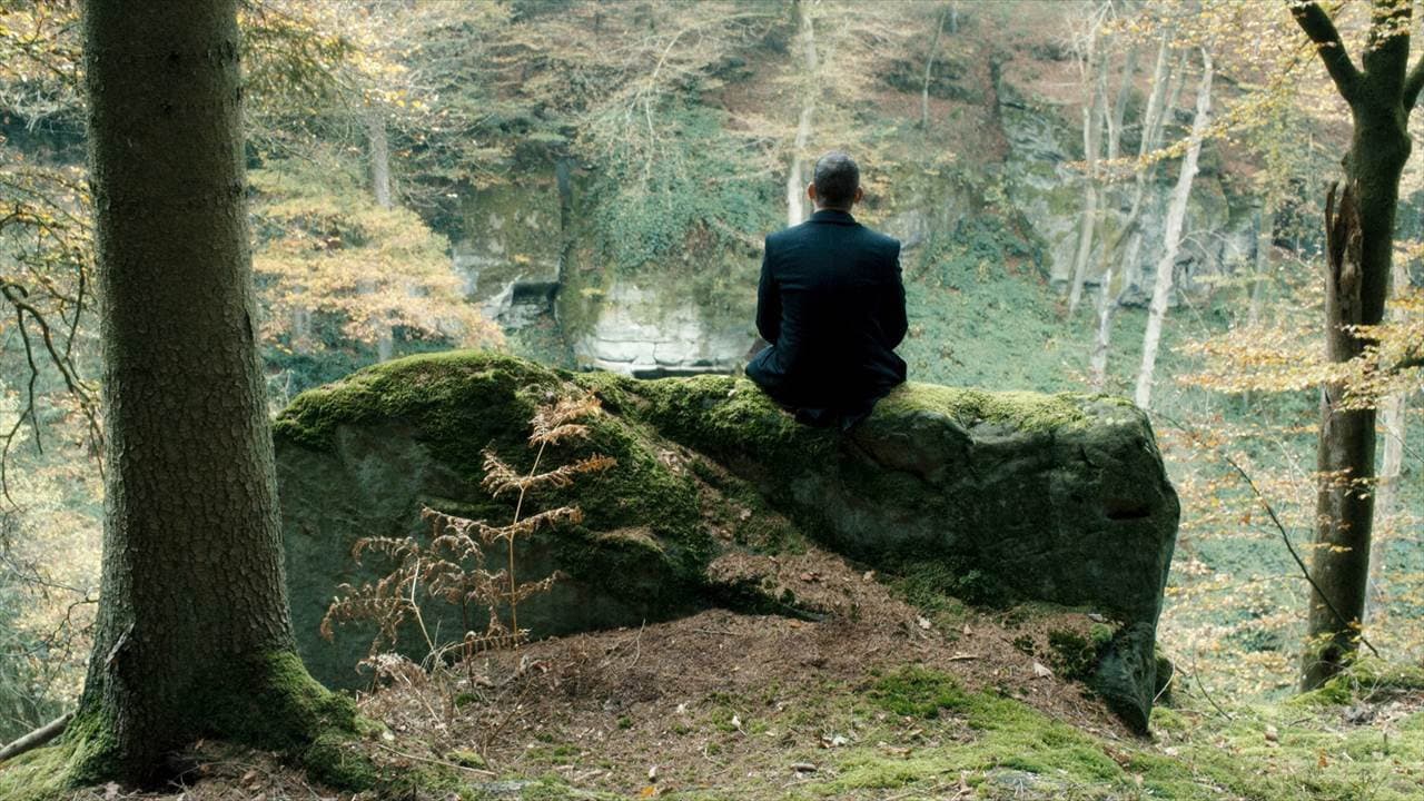 Die dunkle Seite des Mondes - immagine