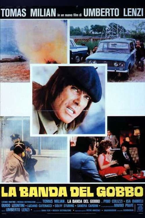 Poster di La banda del gobbo