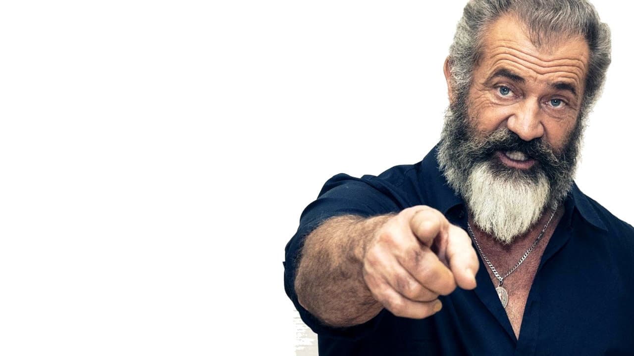 Mel Gibson, à la folie, passionnément - immagine