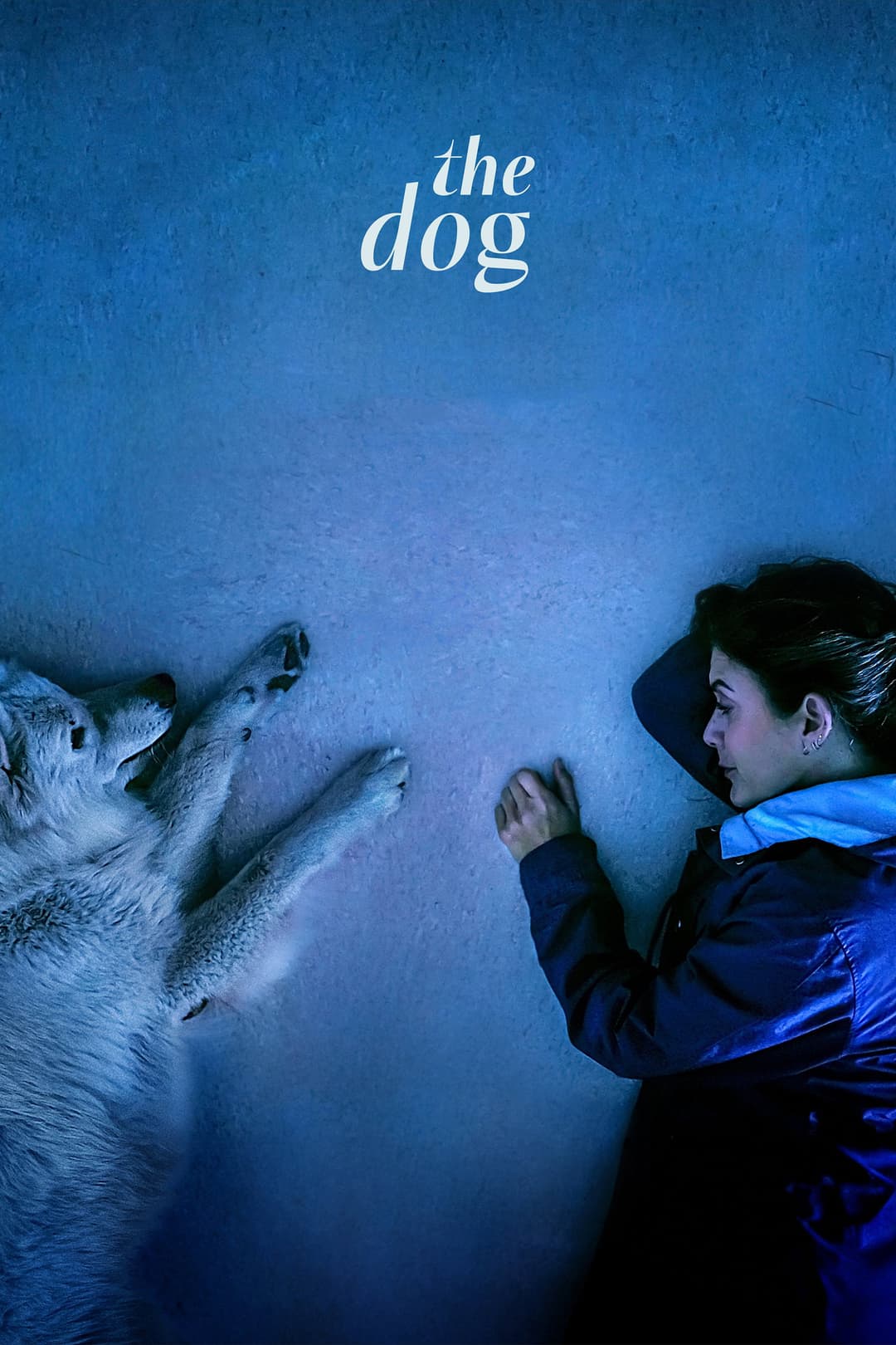 Poster di The Dog